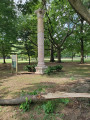 Column of Jerash, 2022, NYC Parks