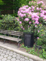 Commissioner Newbold Morris, 2022, NYC Parks