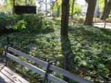 Crime Victims Memorial, 2016, NYC Parks