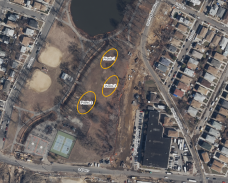 Image of Springfield Park