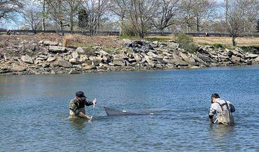 Seining - July 5