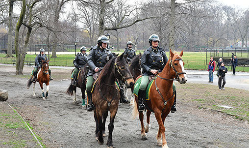 It's A Horse of Course Hike and Greet - Mar. 23