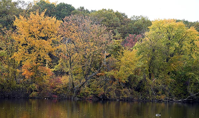 Best Lakeside Views in NYC Parks