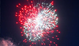 Fireworks in the Parks