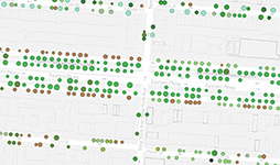 NYC Street Tree Map