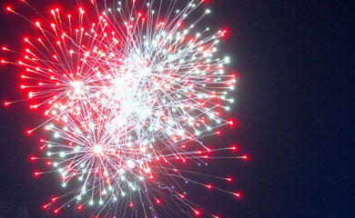 Fireworks in the Parks