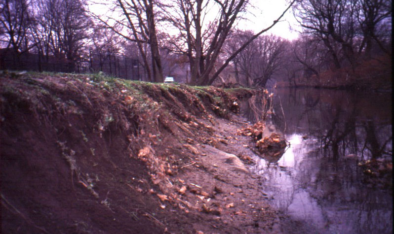 Bronx River Water Life - Beautification project at Soundview Park