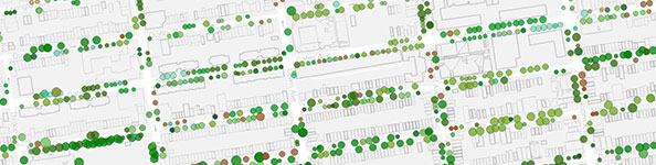 Mapping New York City's Trees (Now With More Trees) - Bloomberg