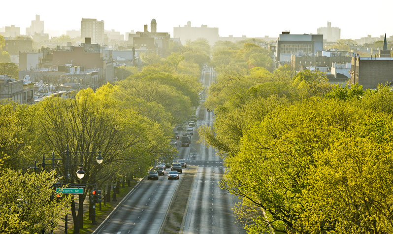 The image shows cars driving down Eastern Parkway. The parkway is flanked by trees and neighborhood houses.