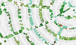 Example of area of NYC Tree Map showing dots representing trees