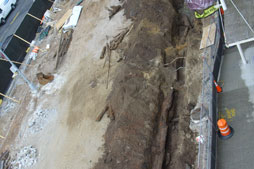 An overhead view of Burling Slip taken from the Seaport Museum showing the wharf during excavation.