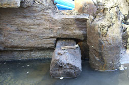 A close-up of the wharf showing how the timbers were squared, notched, and stacked horizontally. They were reinforced with a system of tie-backs and pilings.