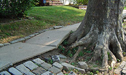 Before and after pictures of a damaged sidewalk repaired.