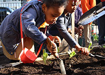 planting at garden kitchen lab