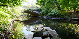 Path in Bronx Park