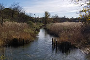 view of a waterway at Staten Island's north shore