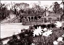 Photo of Bethesda Terrace, 1987