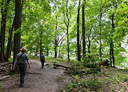 Park rangers lead a hike through a forest in a park during the daytime