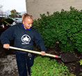 Work at Parks Environment & Planning - beautiful flowers from parks