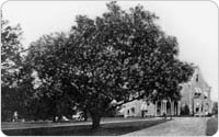 Image of 1905 Image of the Zborowski Mansion (the surrounding area is now Claremont Park)