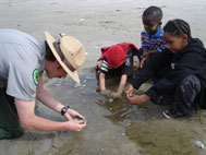 An Urban Park Ranger teaches children about beach ecology.