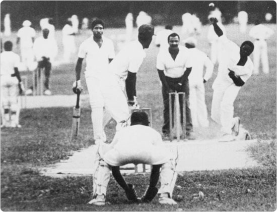 Image of A cricket match in Van Cortlandt Park, August 23, 1987. Image: Calvin Wilson. Neg. 60185.34