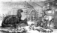 The Arsenal, Paleontological Studio at Central Park Museum, c. 1868