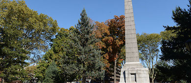 A tall obelisk surrounded by trees in a park