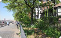 <em>Brooklyn Heights Promenade</em>, 2010, Photo by Daniel Avila/New York City Department of Parks and Recreation