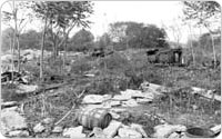 Refuse at Lincoln Terrace Park, October 8, 1929, Rutter Photo Service/New York City Parks Photo Archive