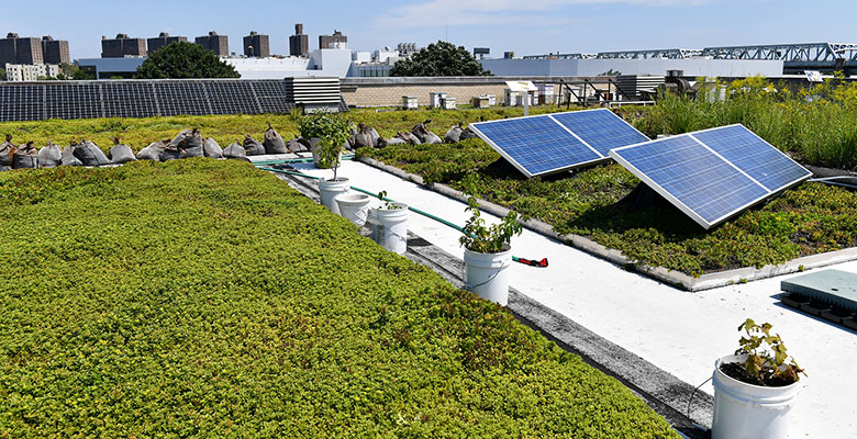 solar panels on a green roof