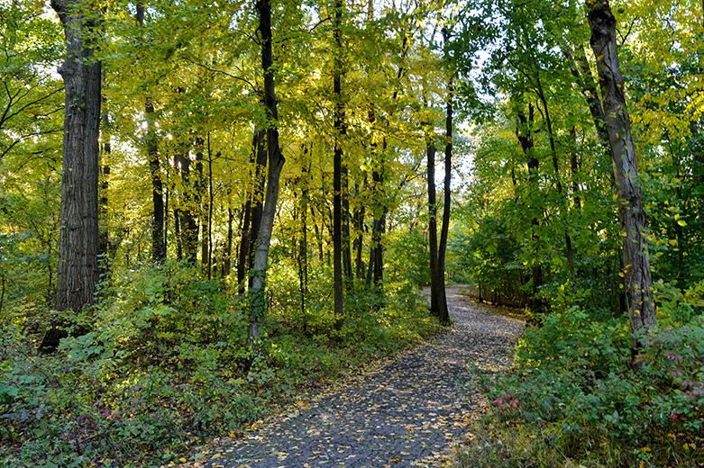 alley pond park