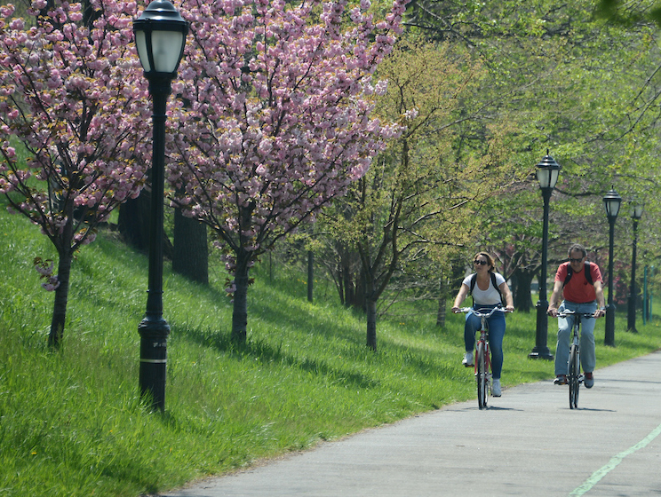 cyclists ride through the park in the bike lane