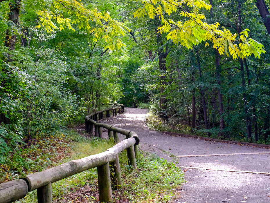 a trail winds through a park