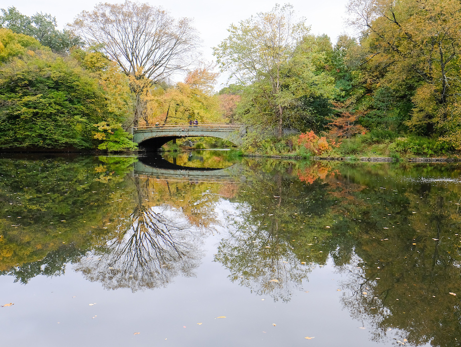 The Lullwater Bridge spans the lake and is surrounded by trees in fall color