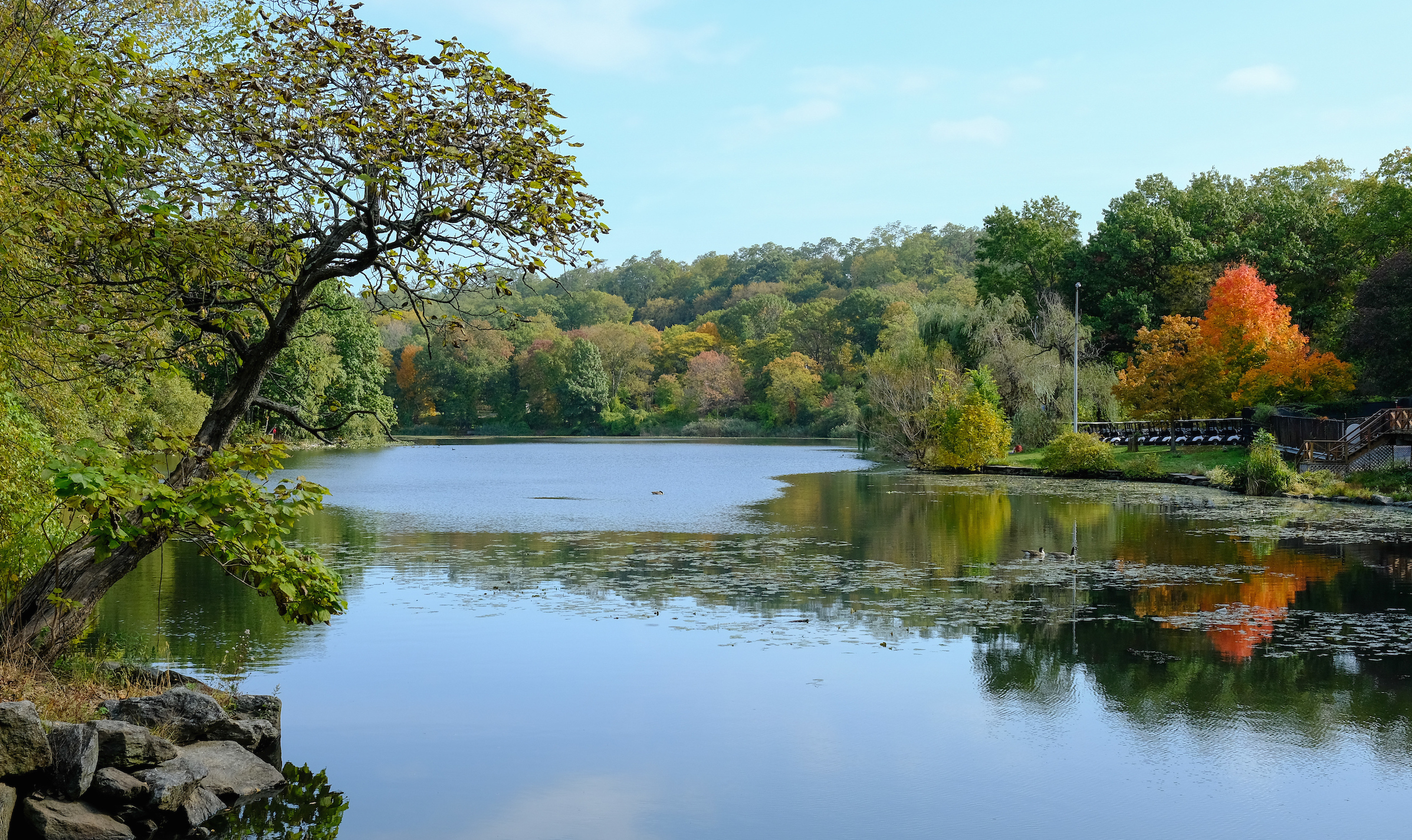 lakeside view of the tress changing into fall colors