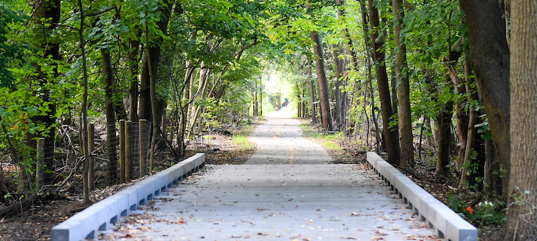 a path leads through a forested area