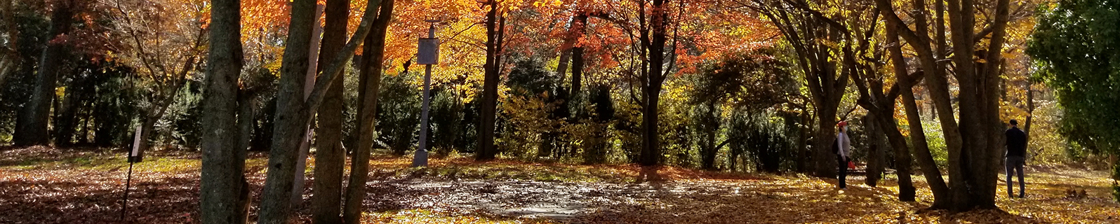 alley pond park orienteering