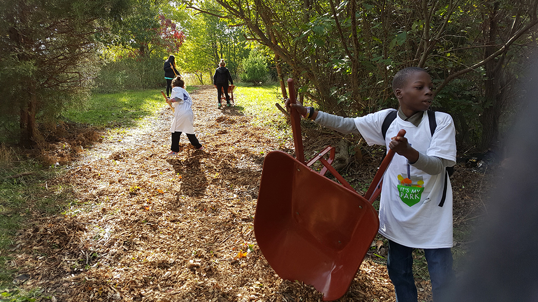 Kids help mulch a path, one carries the wheelbarrow while the others rake and shovel