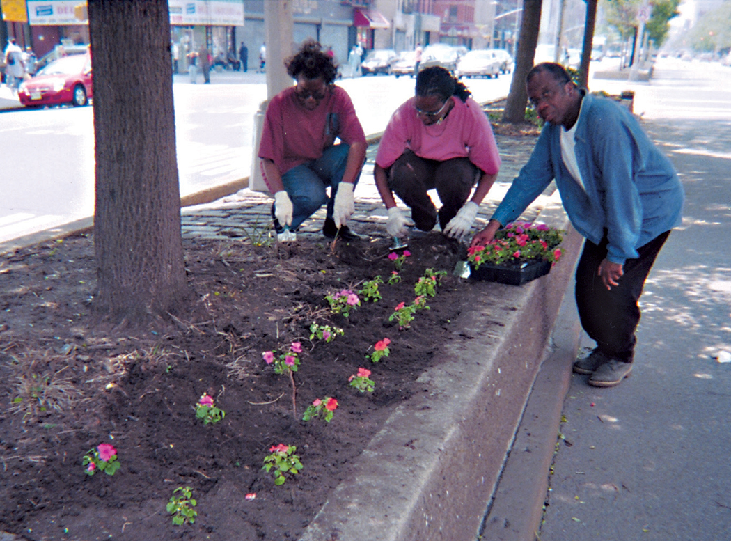 Community members plant flowers in a tree bed