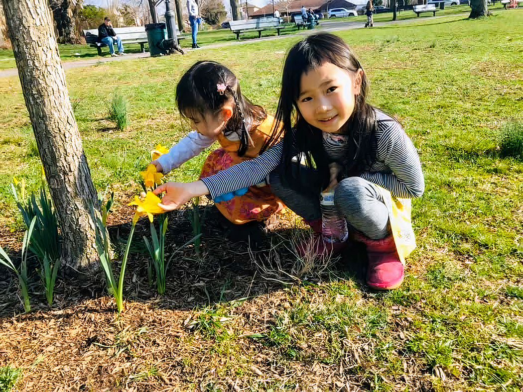 Kids tend to the daffodils plant around a tree