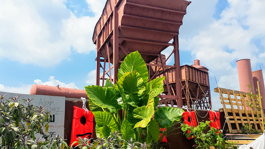 Plants growing near the old concrete plant in the park