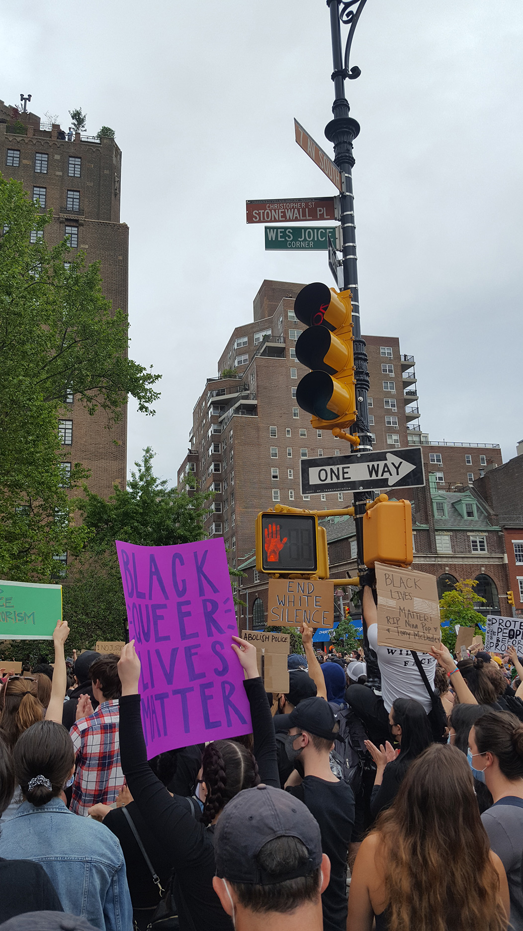 Trans Lives Matter Protest, Christopher Park