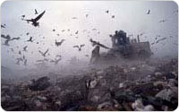 Steam rises as a compactor rolls over freshly dumped garbage at Fresh Kills Landfill, 2001, photo by Michael Falco