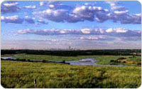 Panoramic View of Fresh Kills and Manhattan Skyline, 2000, photo by Michael Falco