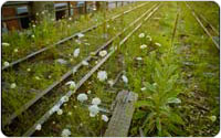 High Line, View West at 30th Street, 2007, photograph by Barry Munger