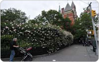 Jefferson Market Garden, 2010, Photo by Daniel Avila/New York City Department of Parks and Recreation