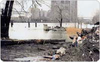 Sherman Creek, now Swindler Cove Park, Harlem River, 1997, Amy Gavaris, photograph courtesy the New York Restoration Project