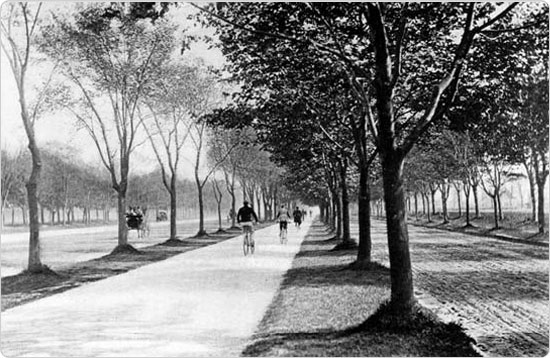 The new bicycle path along Ocean Parkway, circa 1894. Source: 34th Annual Report of the Department of Parks of the City of Brooklyn for the Year 1894.