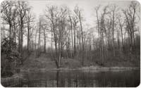 Site of one-time Bird Club Cabin on Hourglass Pond, 1945, courtesy of Staten Island Museum